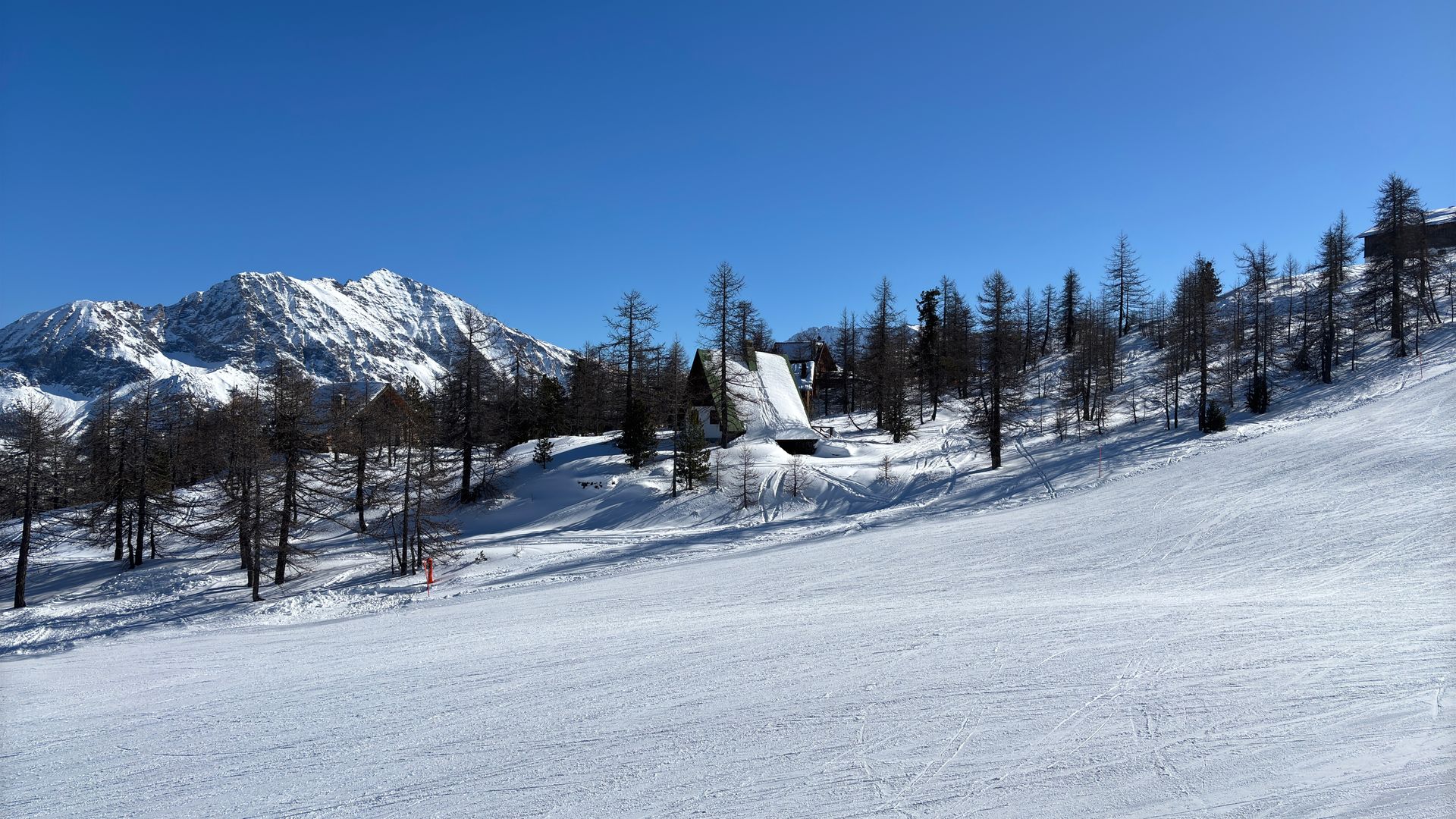 Snowy mountain scene with trees, blue sky, and a ski slope.