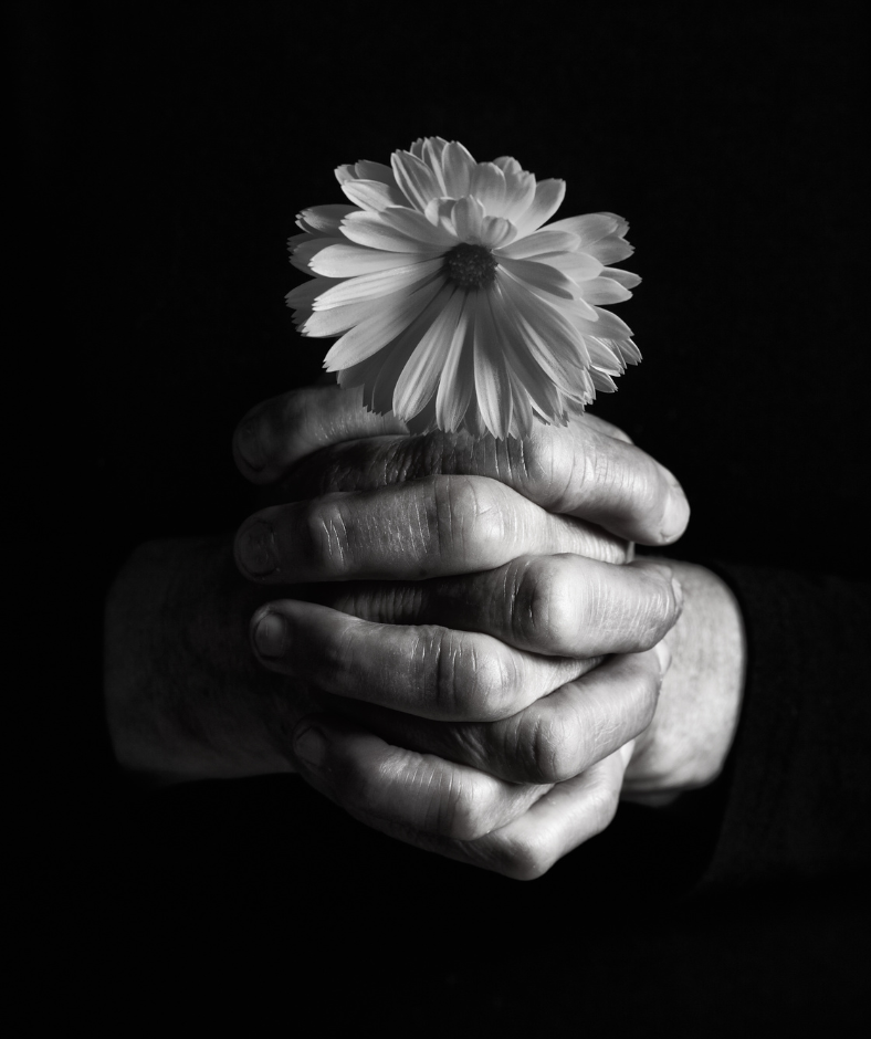 black and white flower