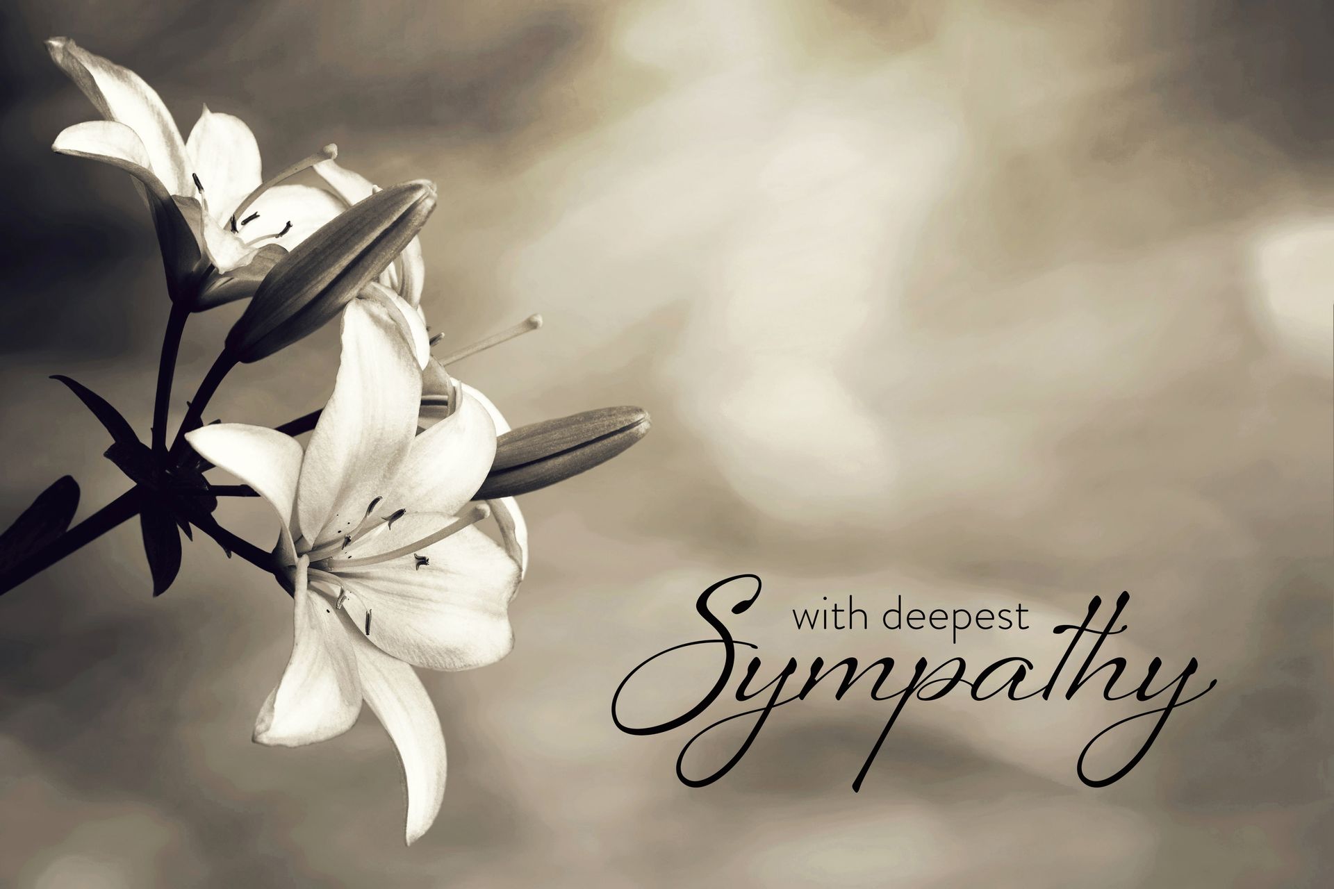 what to write in a sympathy card