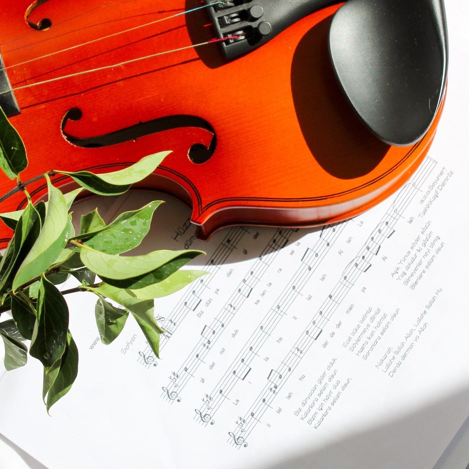 violin on music note paper