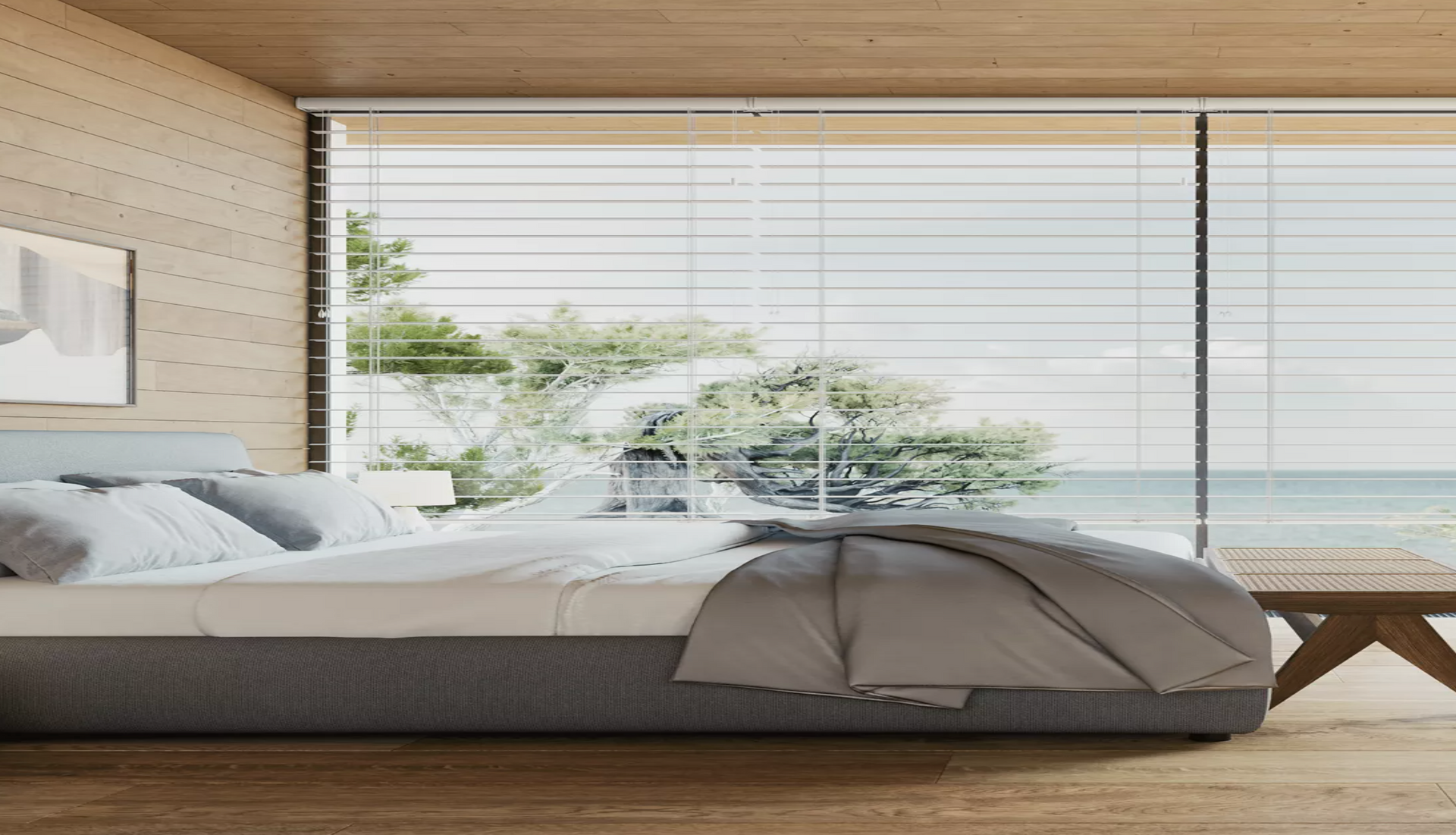 Window blinds texas