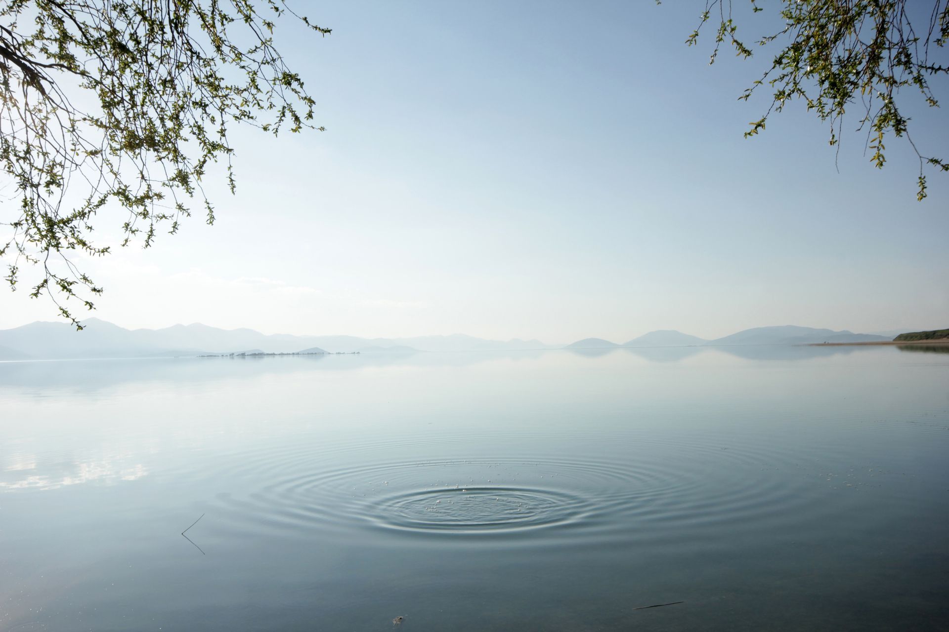 tranquil lake with a circular ropple