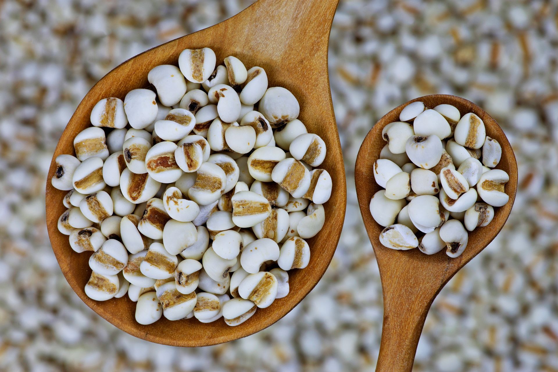 coix seeds