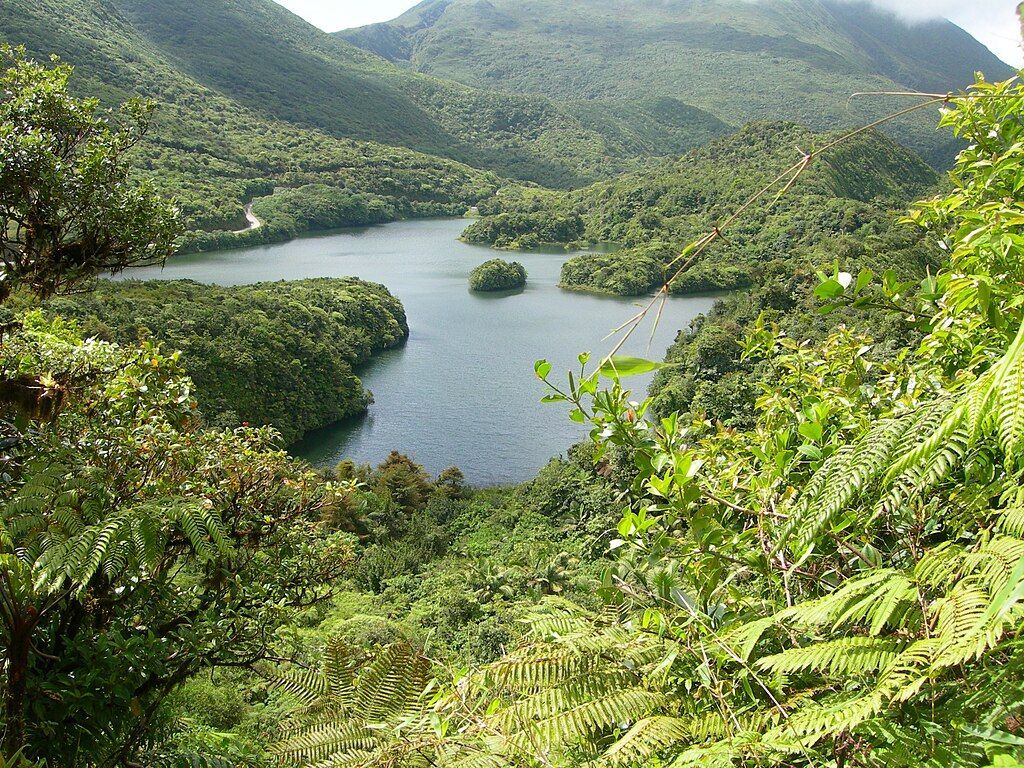 Lush, green, mountainous landscape surrounding a serene lake with a small island in the center.