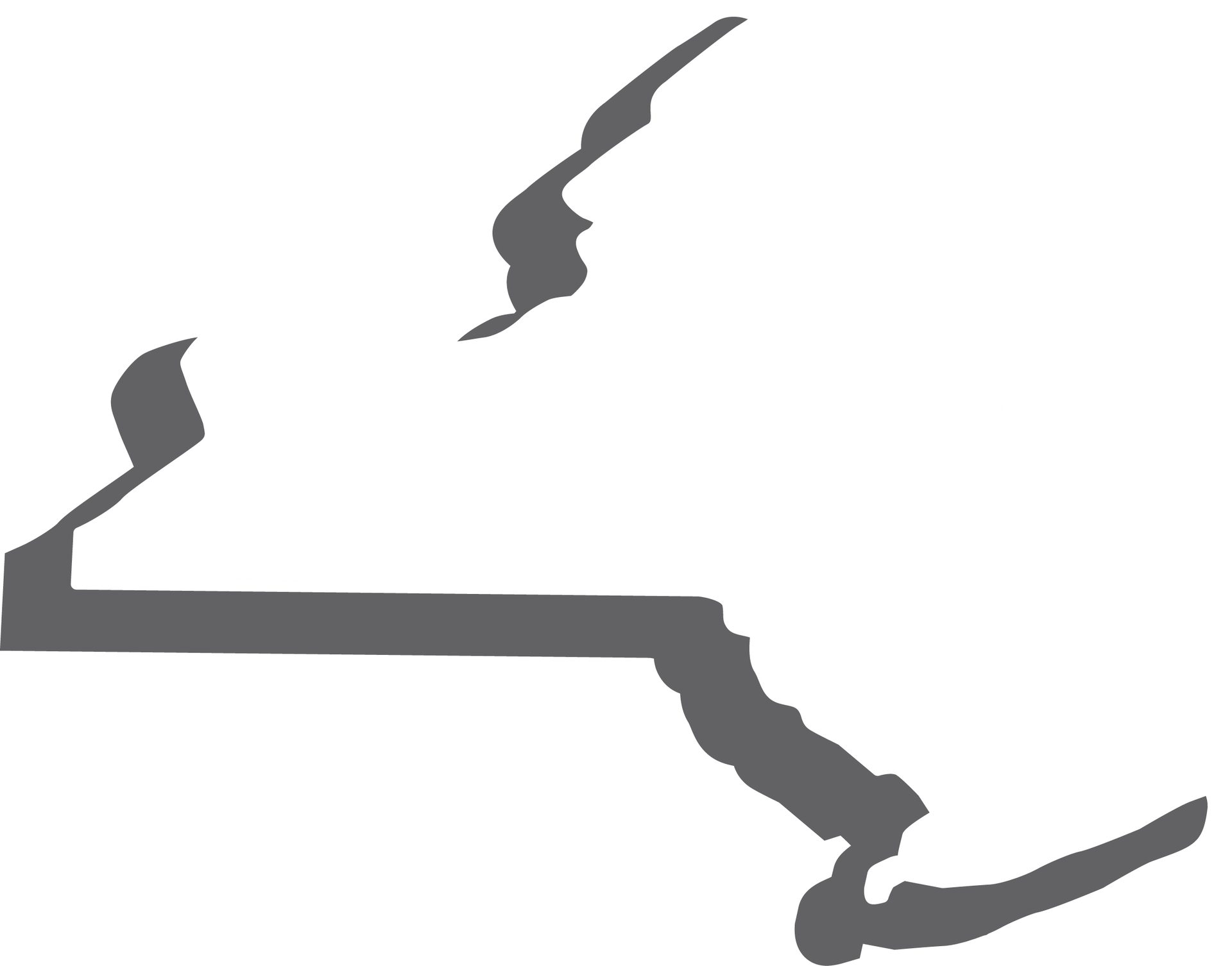 NYC Map
