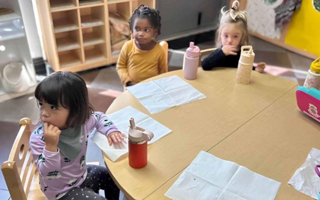 Montessori child concentrating on a fine motor transfer activity.
