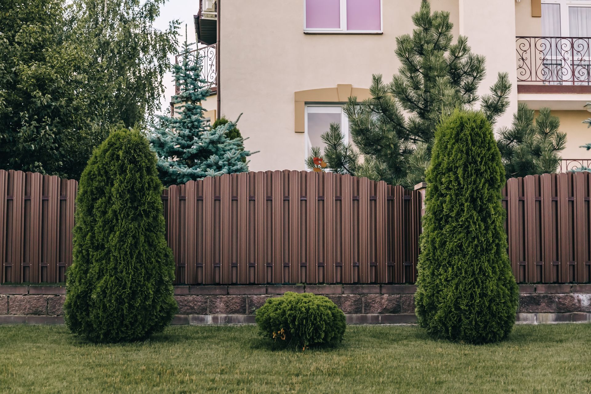 tree planting and fences
