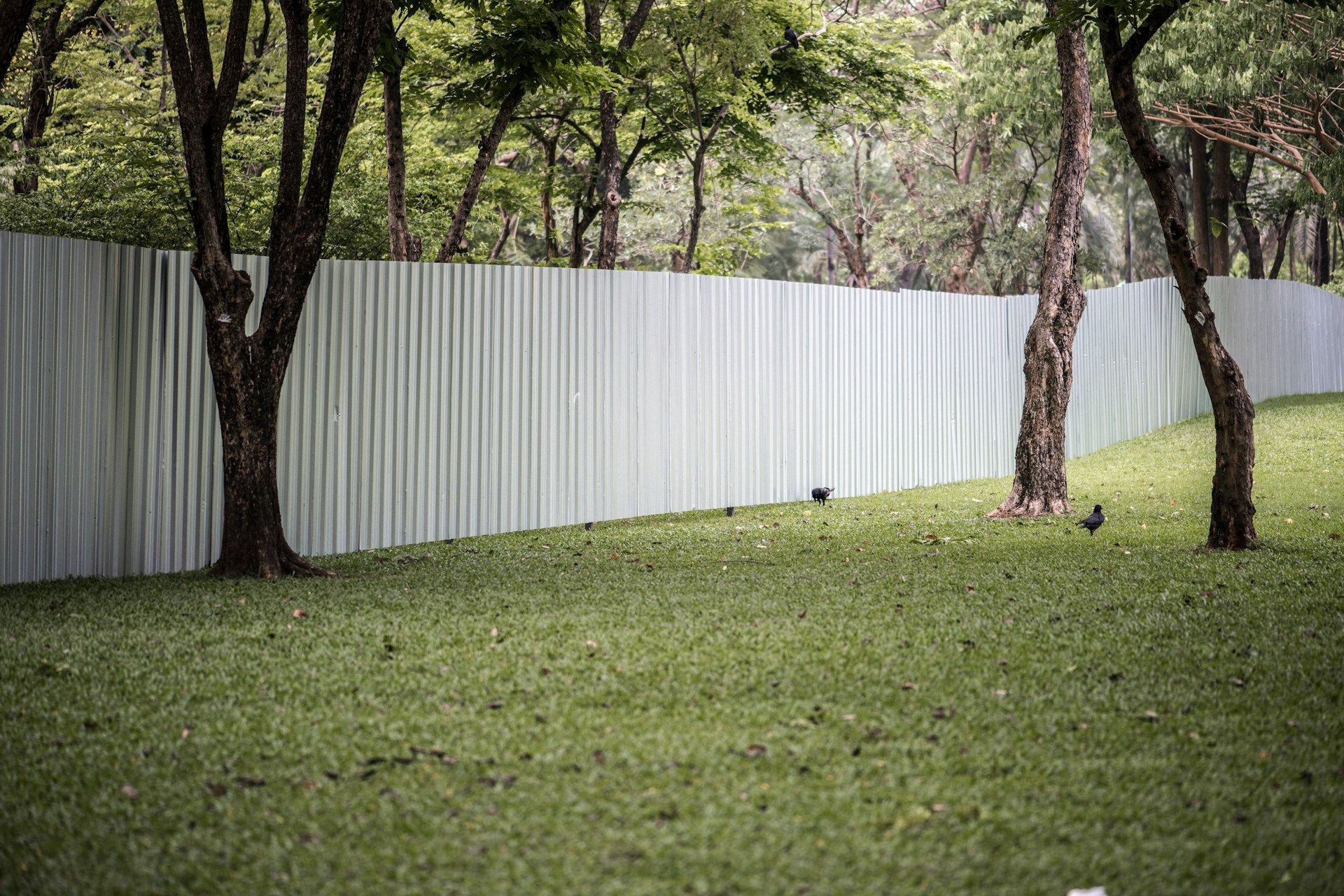Fenced Yard