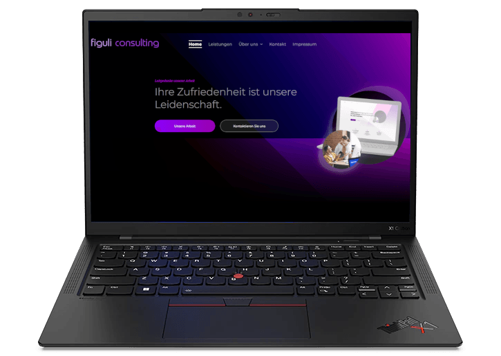 Neue Figuli Consulting Web Seite