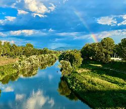 Servizi ecologici Servizi ecologici