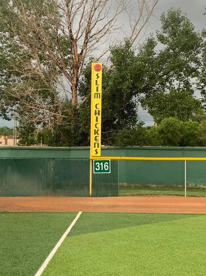 Baseball outfield wall with green fencing and a yellow foul pole marked “316” above it.