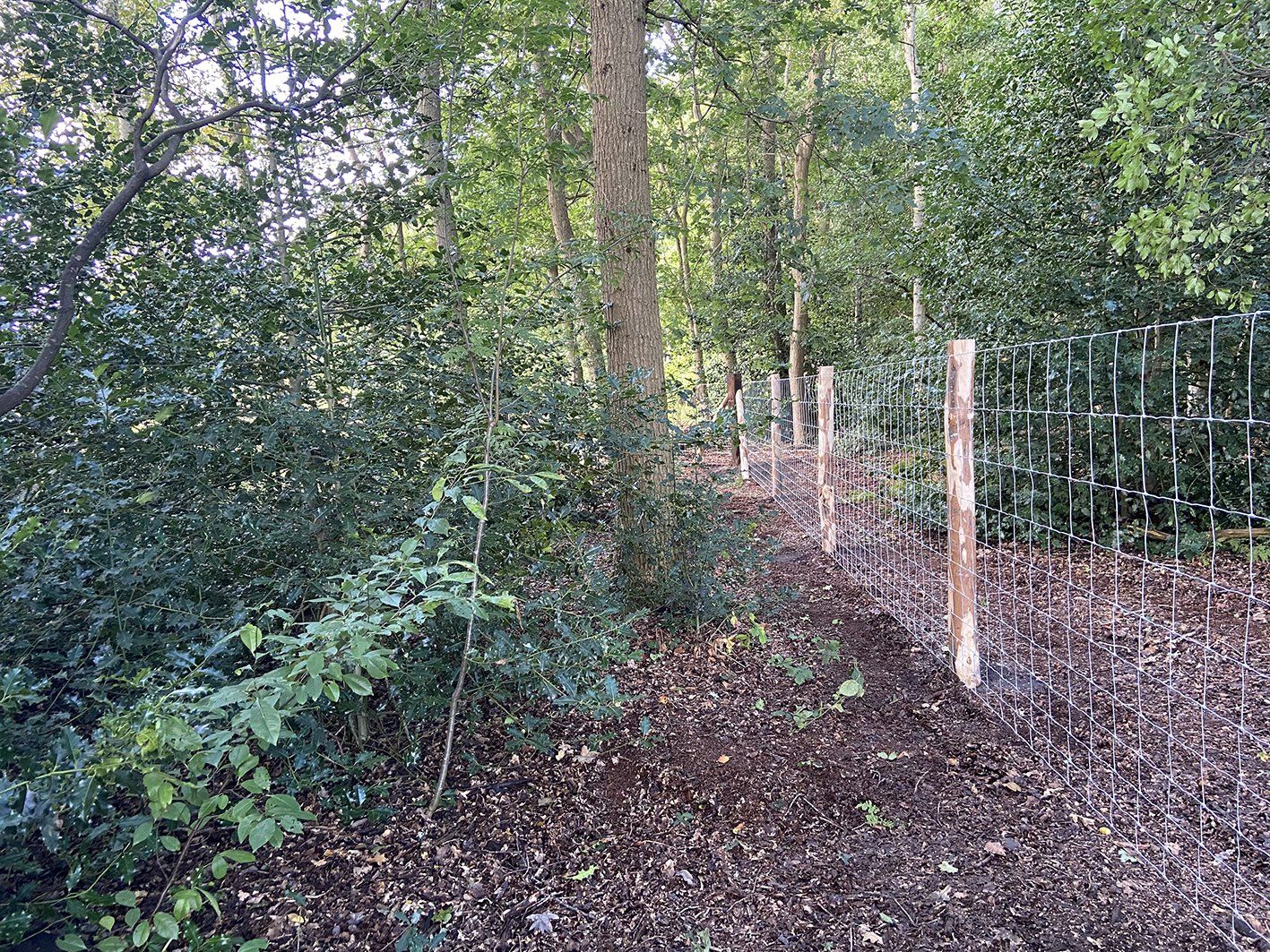 Een hek van draadgaas langs een pad in een bosrijk gebied.