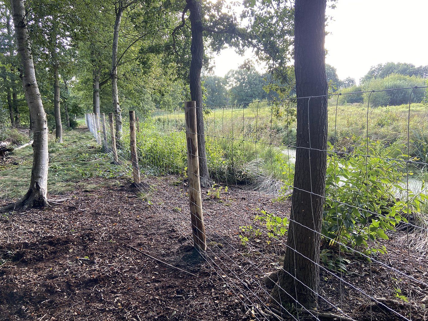 Een draadomheining tussen bomen in een bosrijk gebied, die een grasveld beschermt tegen het bos.
