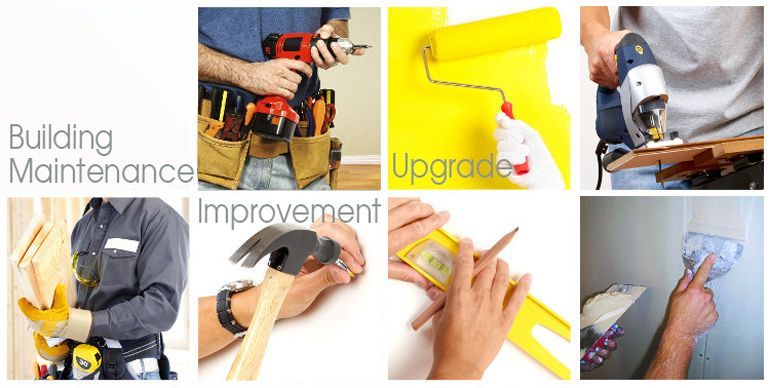 building surveyor