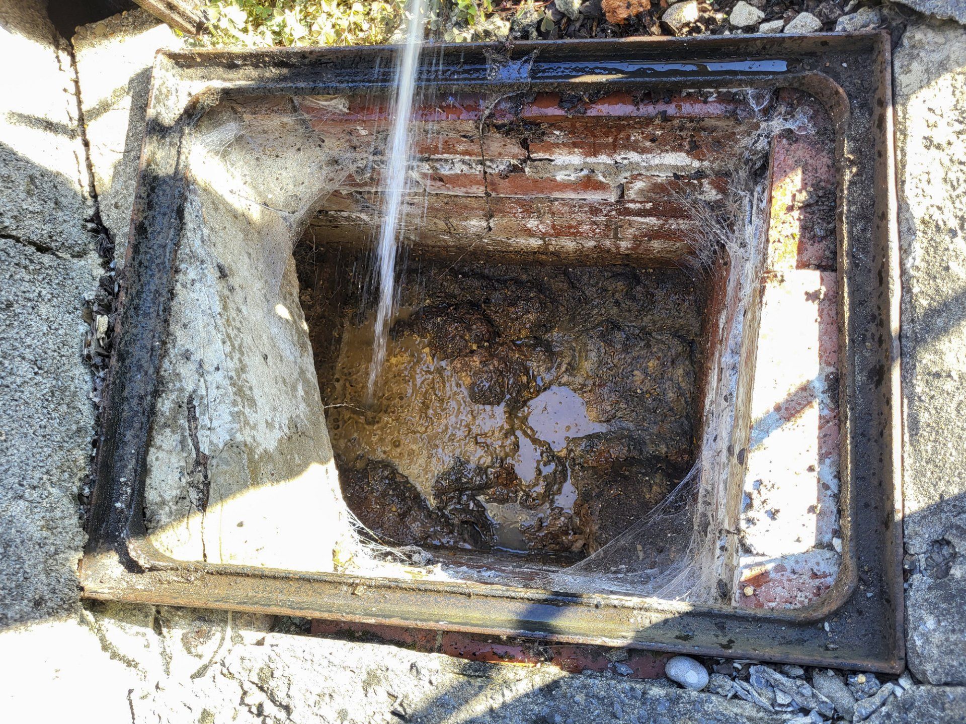 Septic Tank Repairs — Bakersfield, CA — Morris Septic & Sewer
