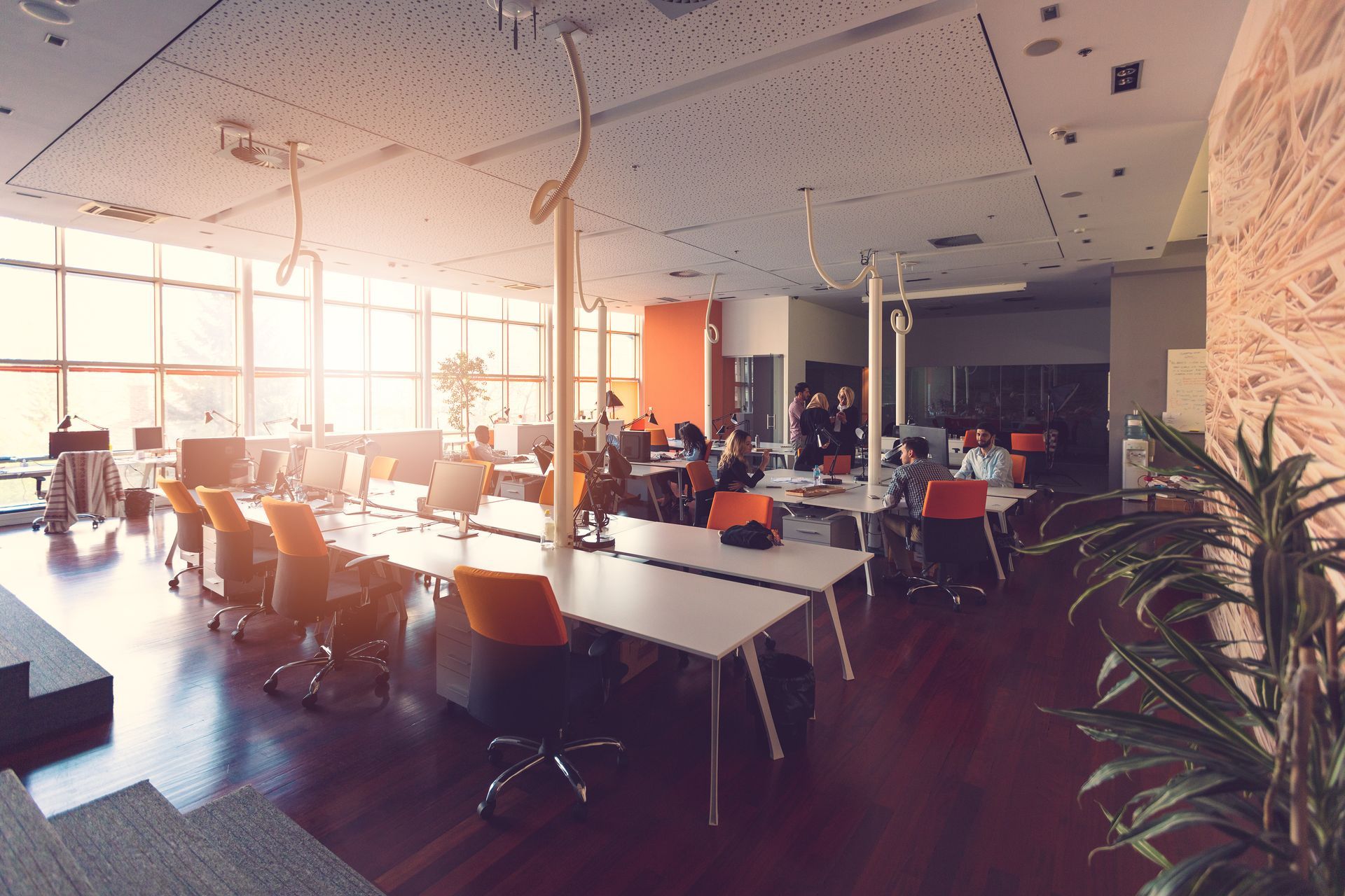 Open-plan office with desks, computers, and people working in bright sunlight Open-plan office with desks, computers, and people working in bright sunlight