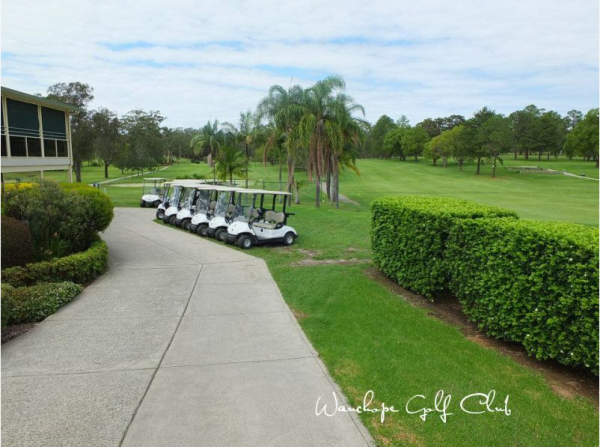 A Row of Golf Carts Are Parked on The Side of The Road | Mid-North Coast, NSW | BDM Constructions