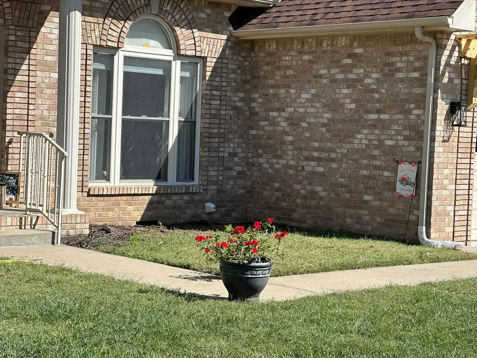 A potted plant with red flowers sits on a concrete walkway in front of a brick house with a arched window.