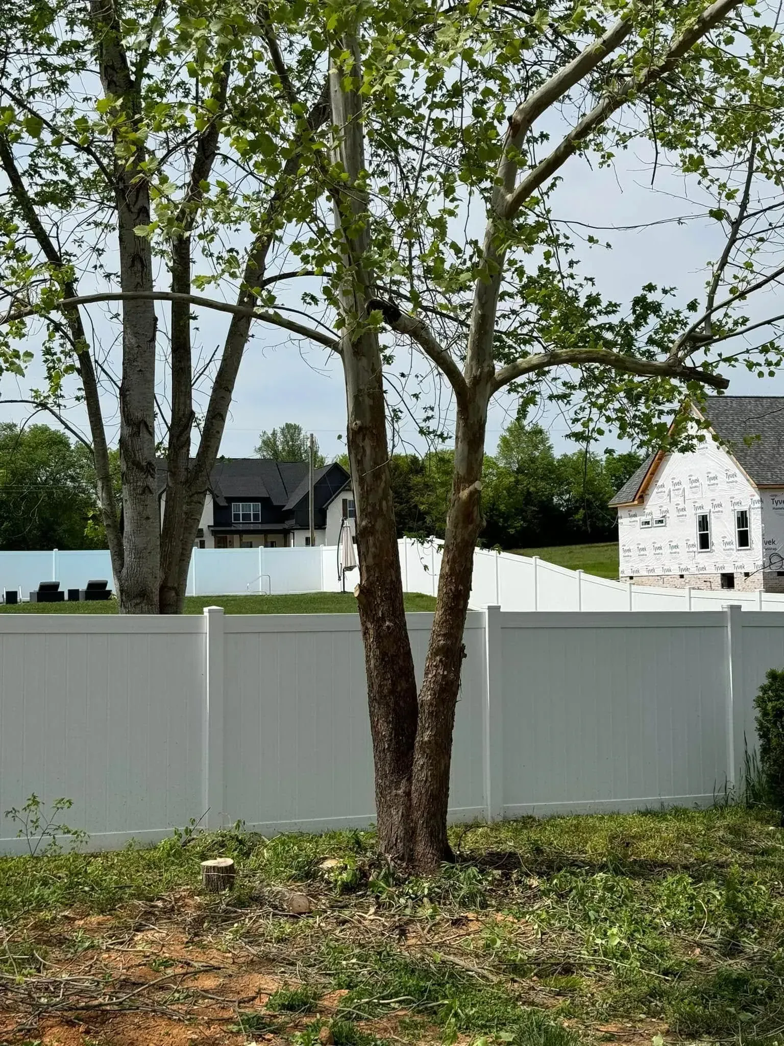 A white vinyl fence stands in a yard with trees, with two houses visible in the background under a blue sky.