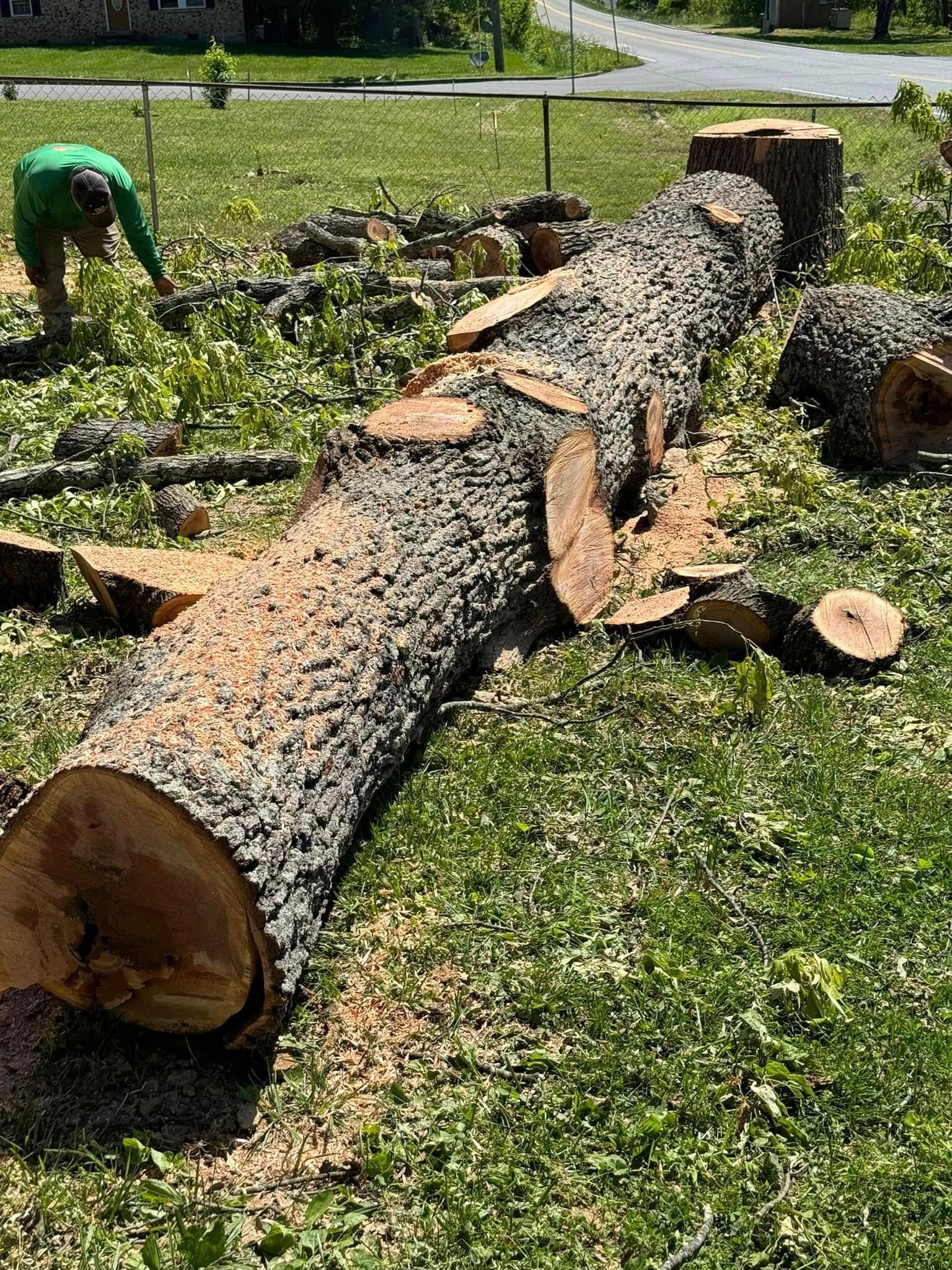 A person in a green shirt trims branches from a large, felled tree log on a grassy lawn.