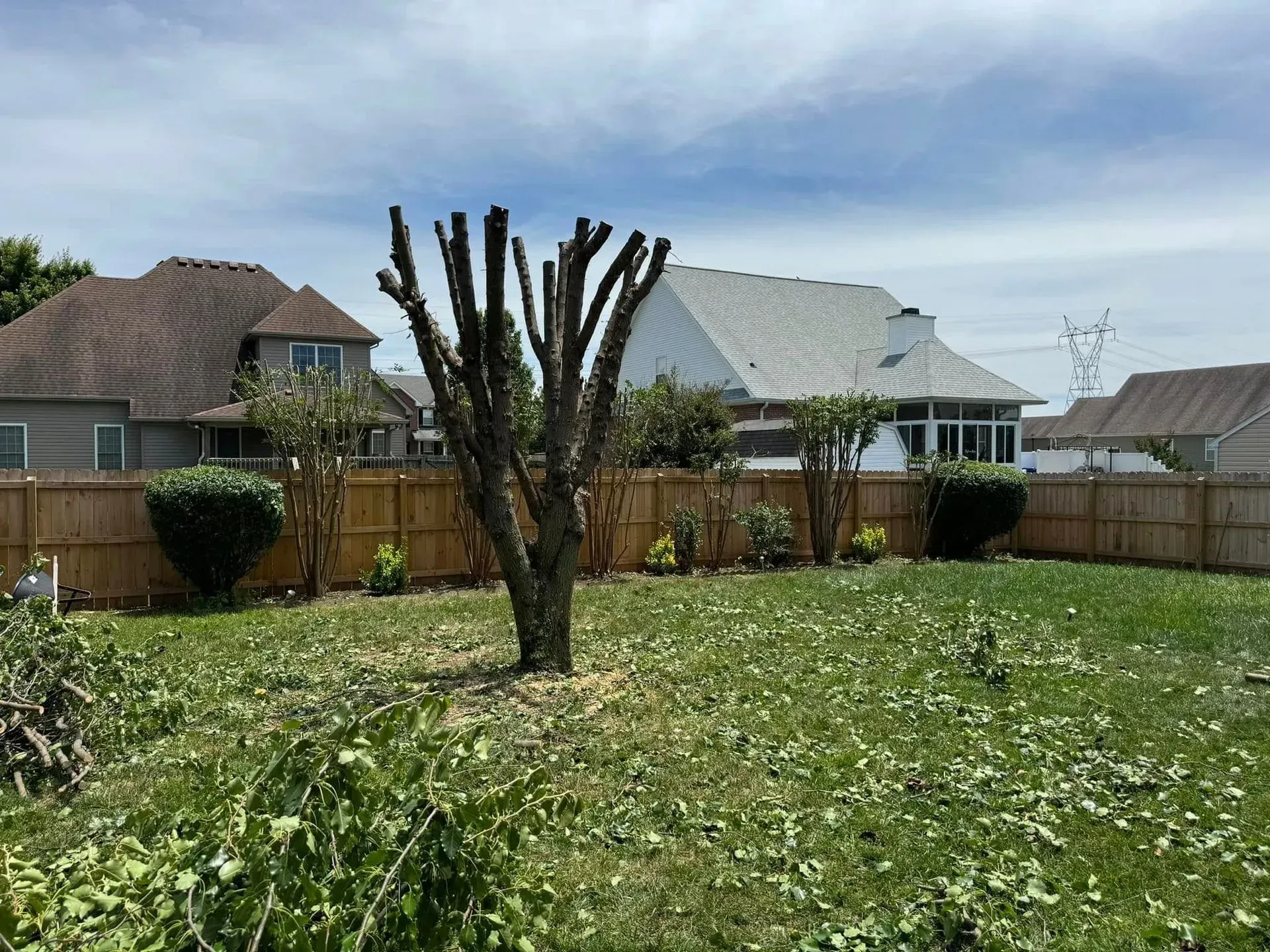 A backyard with a topped tree in the center, surrounding wooden fences, neighboring houses, and scattered leaf debris.