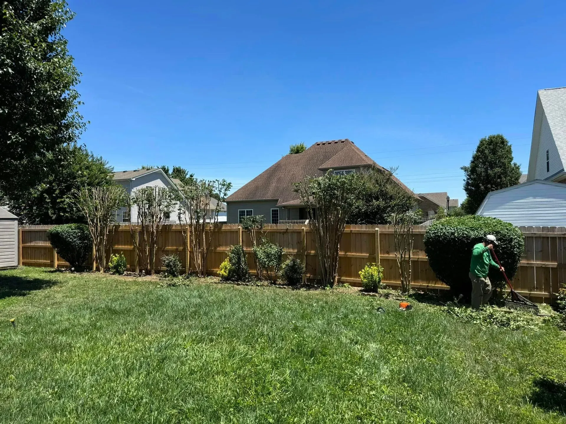 A person in green works in a sunny backyard, trimming a hedge in front of a wooden fence and neighboring houses.