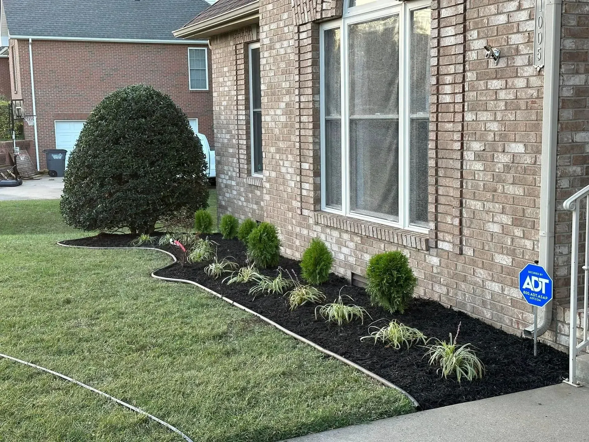 A brick house exterior with a green bush and a row of small, newly planted evergreens in a mulch bed along the foundation.