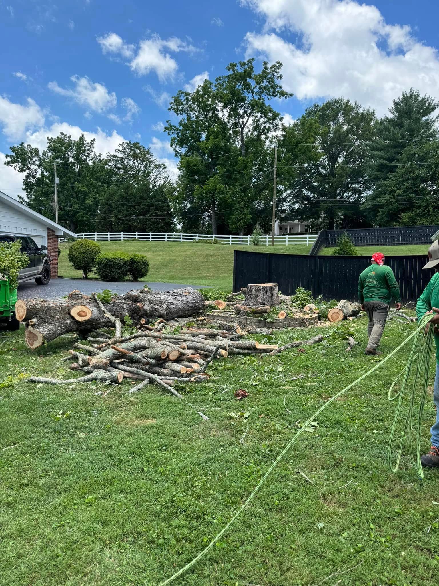 Two workers in green shirts clear cut logs and branches from a grassy yard on a sunny day near a black fence.