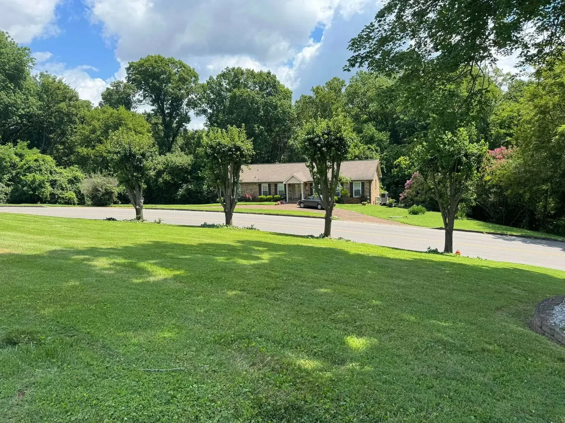 A suburban single-story house sits behind a large green lawn and a curved paved driveway, surrounded by lush trees.