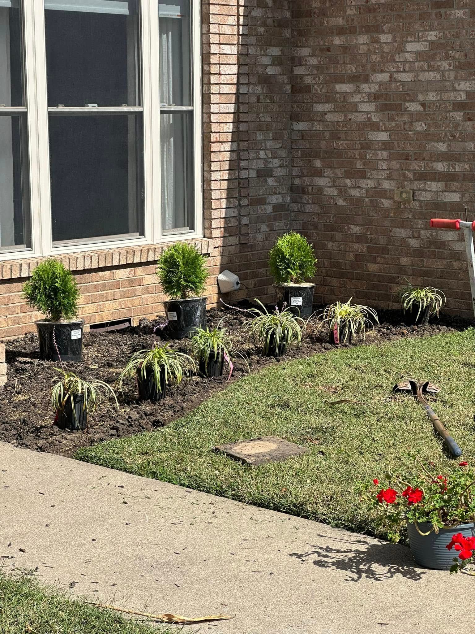 A brick house exterior with a garden bed featuring small potted evergreens and perennials, mulch, and a lawn.