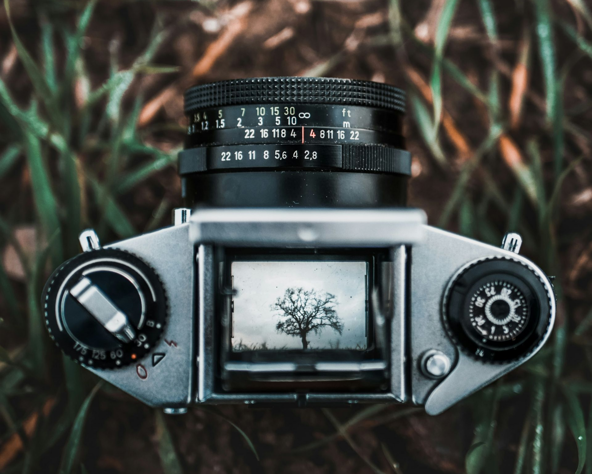 Vintage camera, top view, focusing on a tree in a grassy field.