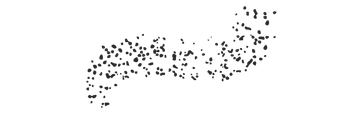 Punti neri sparsi che formano una forma astratta e curva su uno sfondo bianco.
