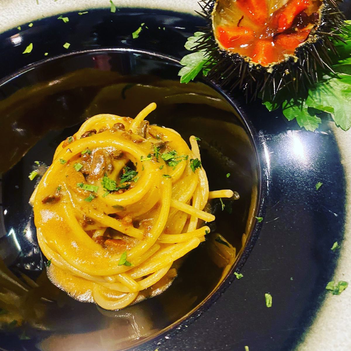 Pasta con salsa cremosa in una ciotola nera, guarnita con prezzemolo e accompagnata da un riccio di mare.