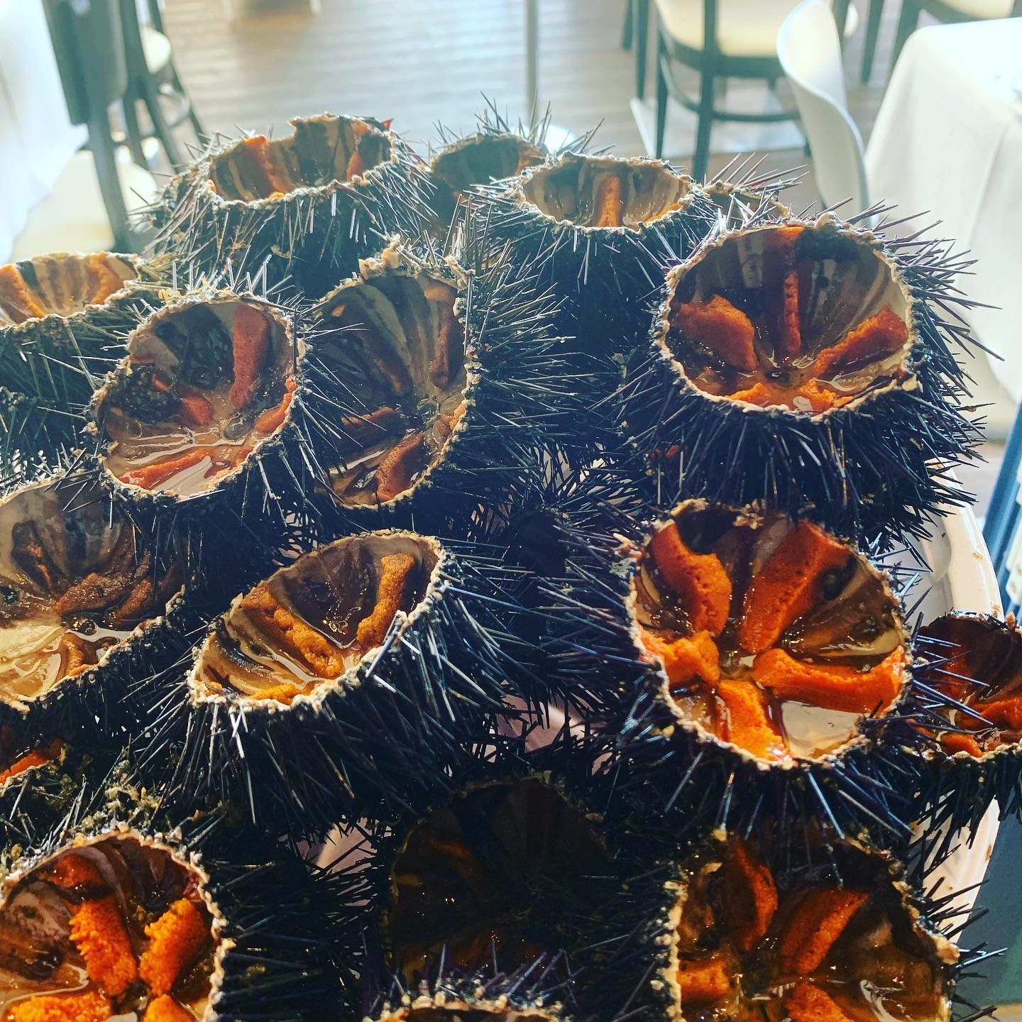 Ricci di mare con uova d'arancia, presentati come piatto di mare.