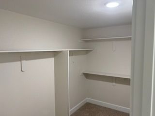 Empty walk-in closet with white shelves and beige walls.
