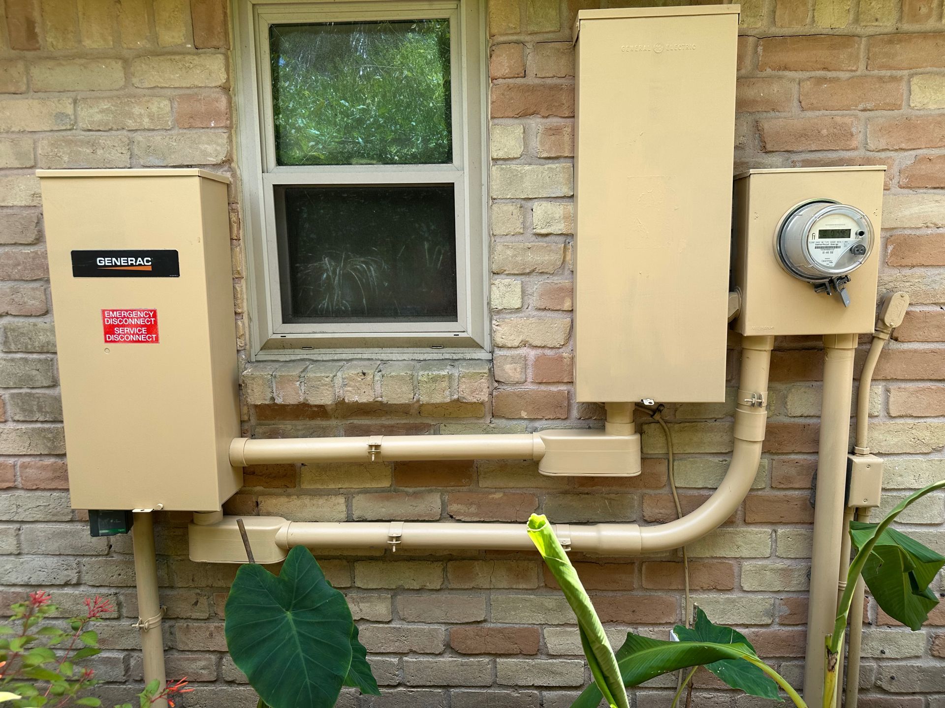 Electrical boxes and meter on a brick wall, near a window and plants.