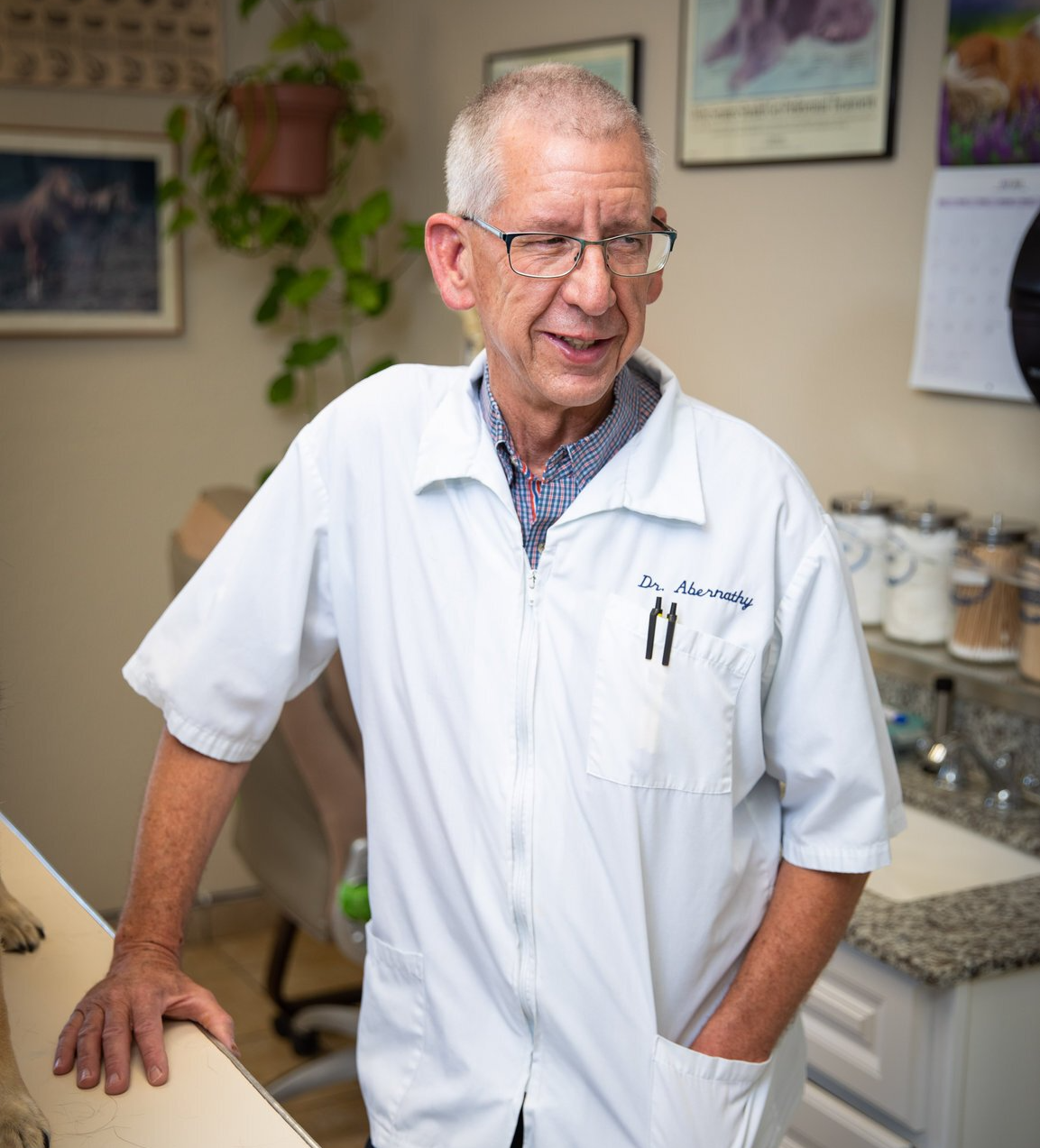 Our Practice Rio Rancho, NM Sunrise Veterinary Clinic