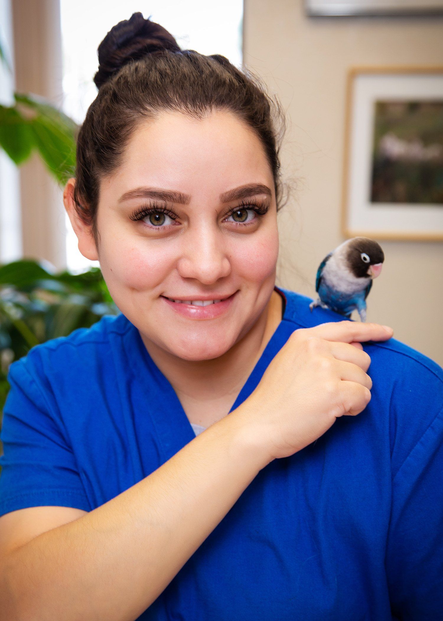 Veterinarian Holding Cat — Rio Rancho, NM — Sunrise Veterinary Clinic Veterinarian Holding Cat — Rio Rancho, NM — Sunrise Veterinary Clinic