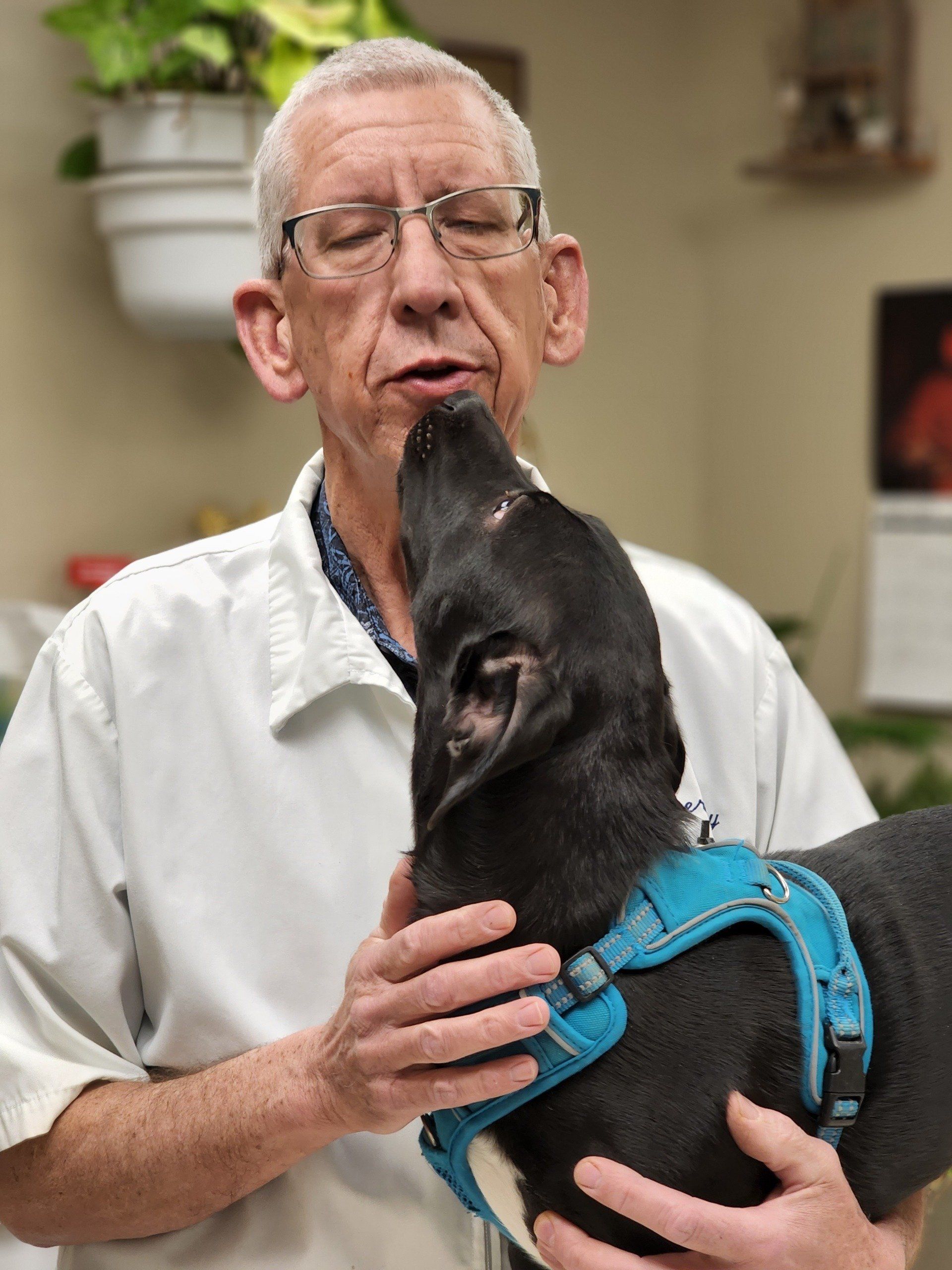 Veterinarian Holding Cat — Rio Rancho, NM — Sunrise Veterinary Clinic Veterinarian Holding Cat — Rio Rancho, NM — Sunrise Veterinary Clinic