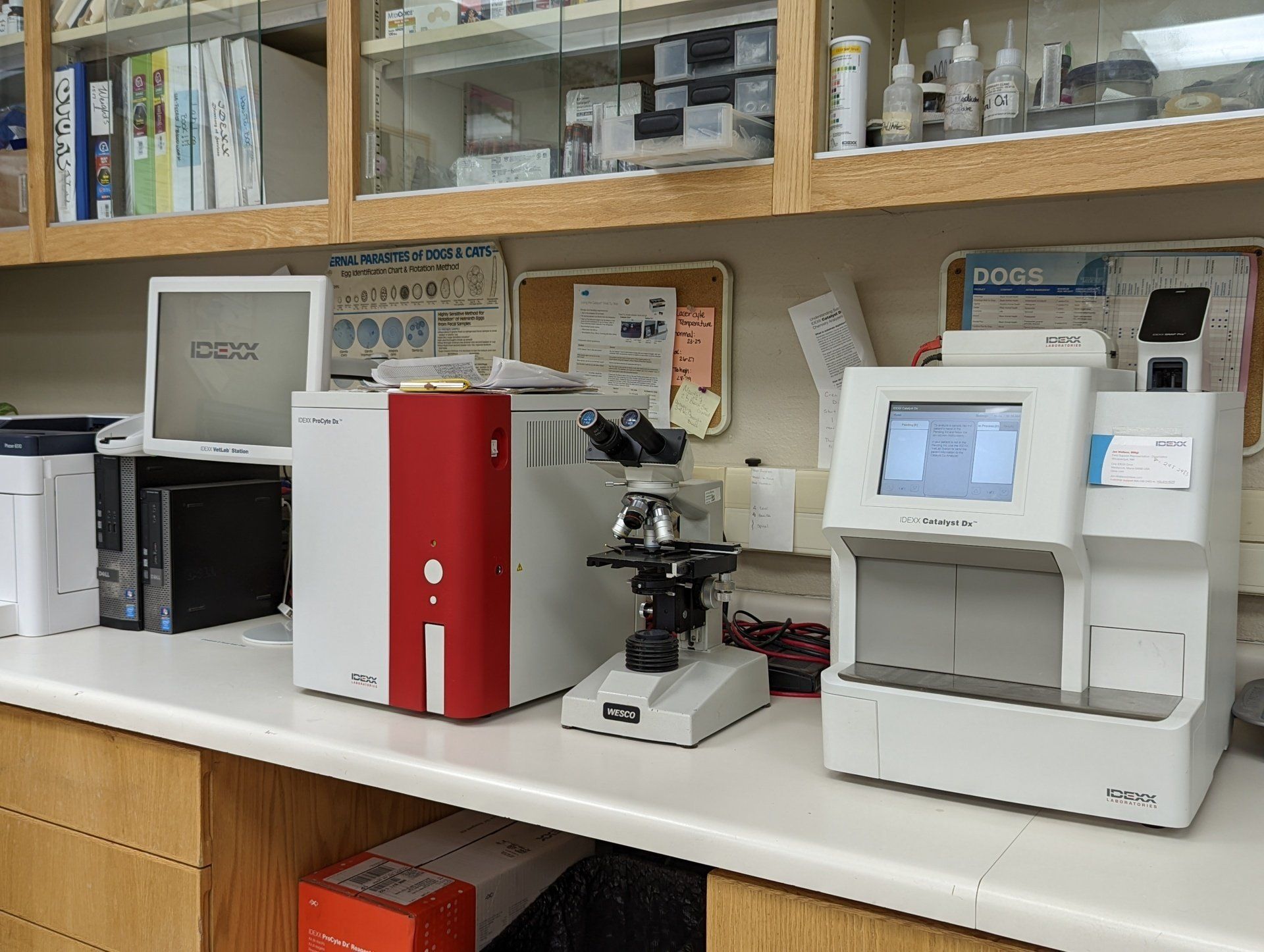 These machines give us crucial details about your pet's inner workings. Veterinary laboratory, idexx laboratory machines, microscopes