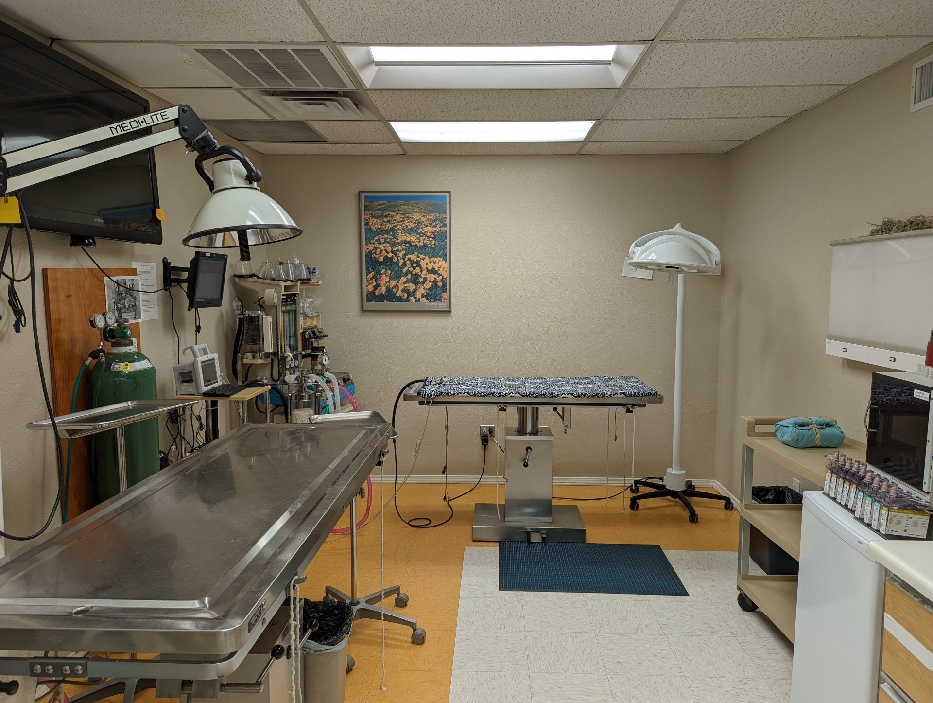 Our sterile surgery room Veterinarian general sterile surgery room