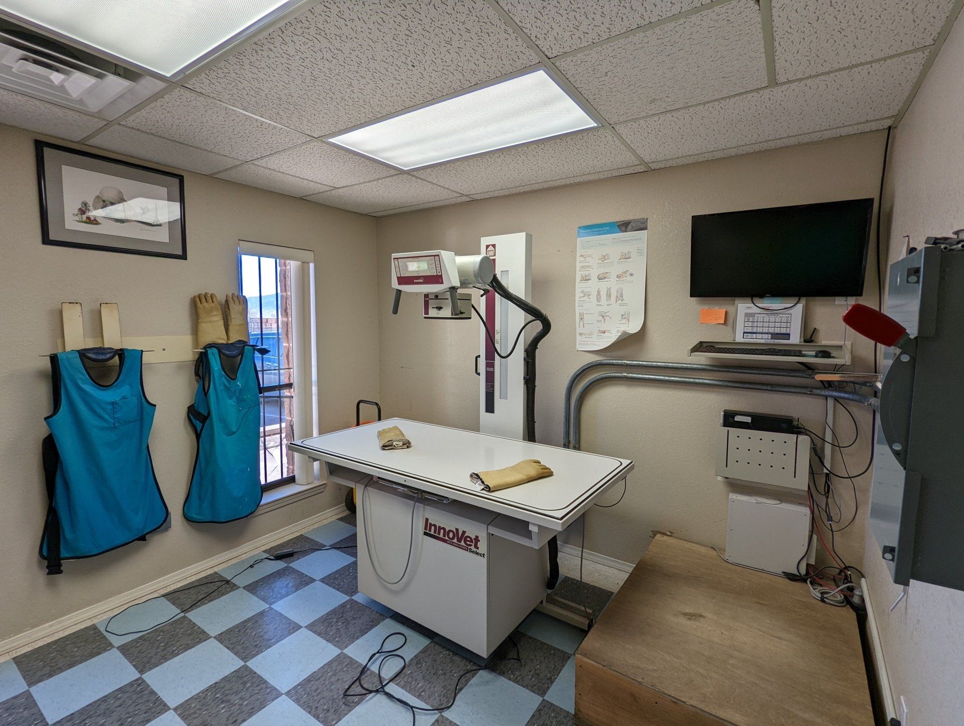 Our veterinary radiography room veterinarian radiography