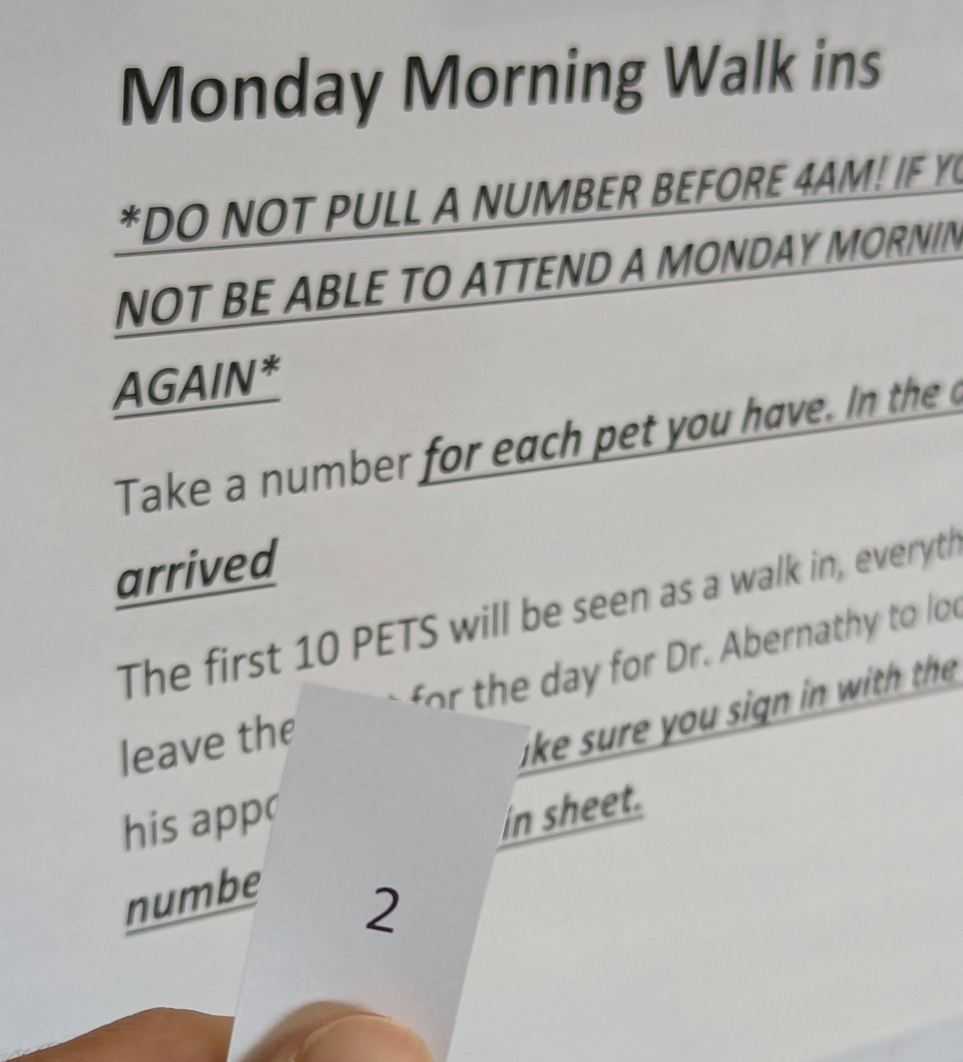 Man with His Brown Dog — Rio Rancho, NM — Sunrise Veterinary Clinic