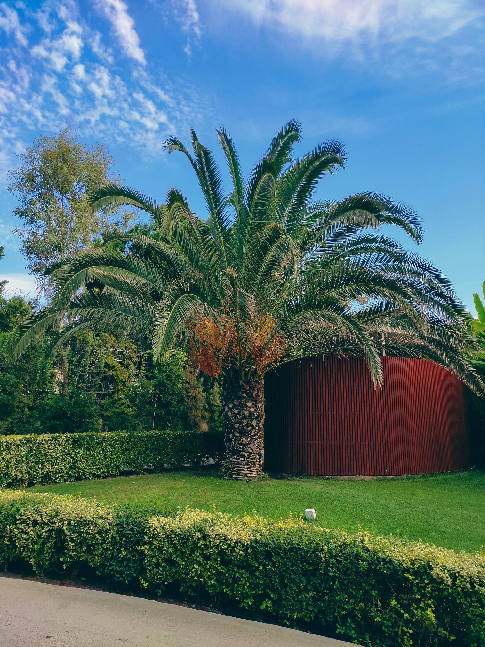Debris removal by Bell's Lawncare LLC in Mary Esther, Florida