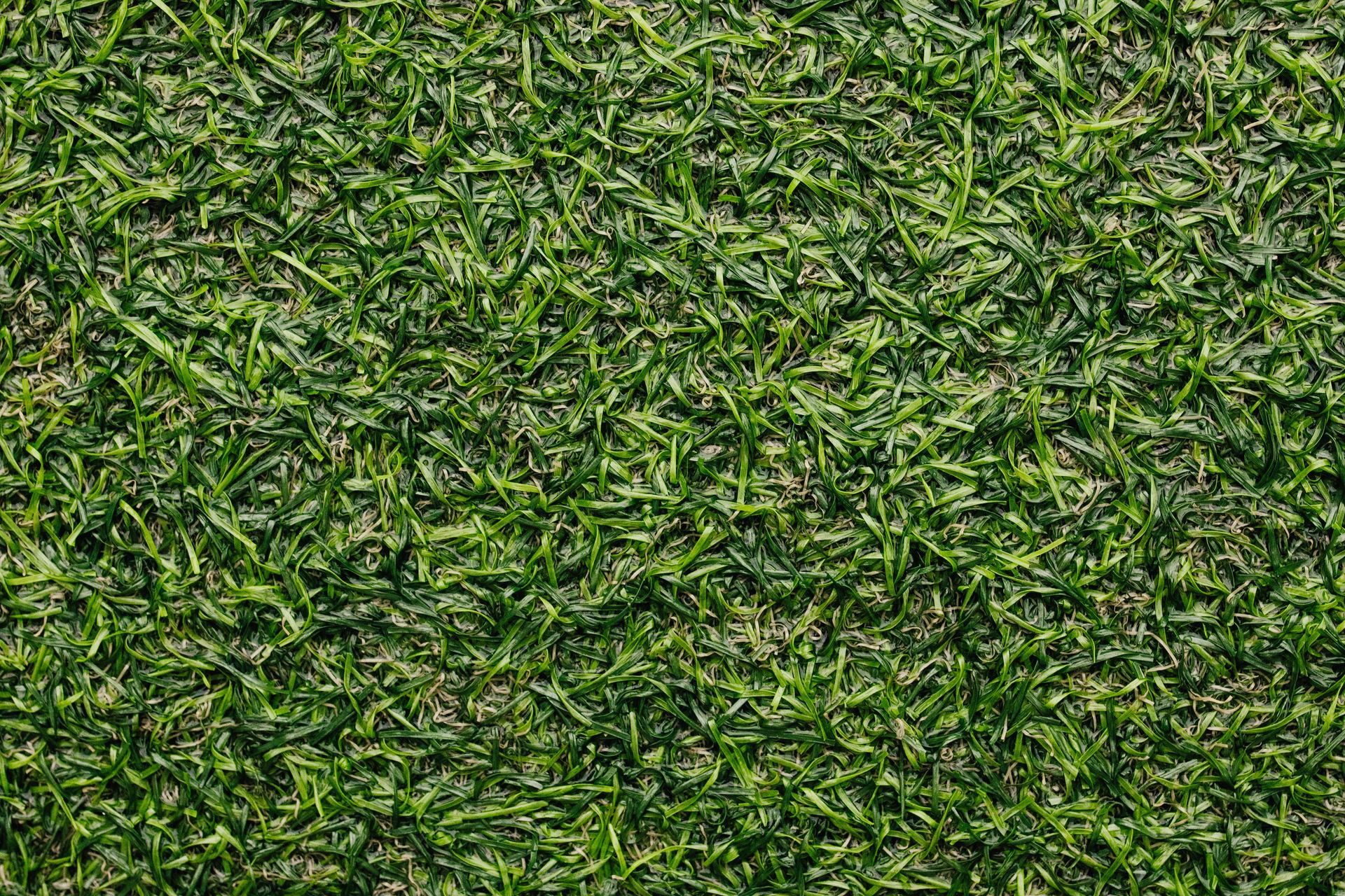 Bell's Lawncare LLC sod installation services in Navarre, FL