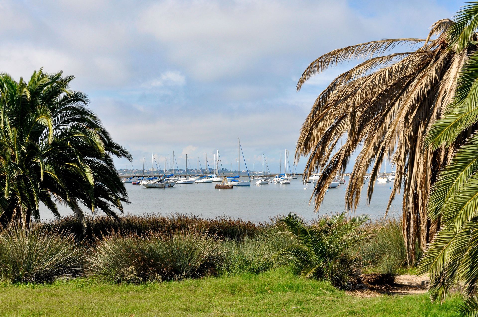 Professional debris removal by Bell's Lawncare LLC in Gulf Breeze, Florida