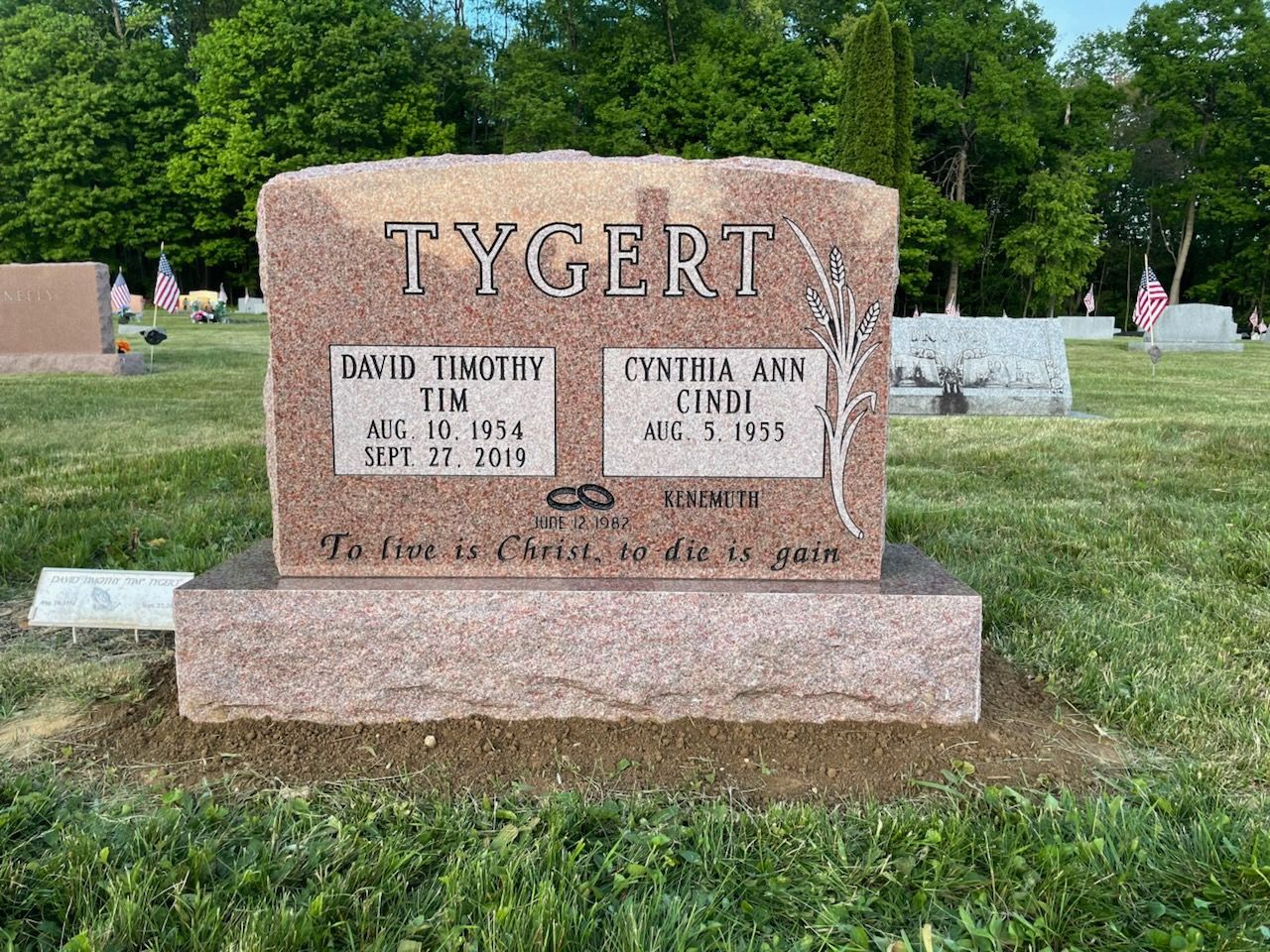Cemetery Headstones 37