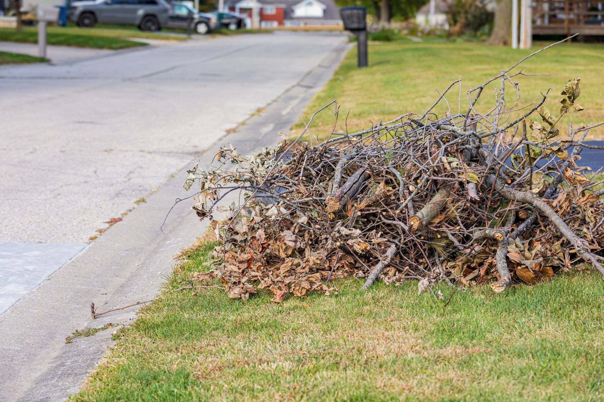 Pile of dry leaves and branches on a green lawn next to a street curb.