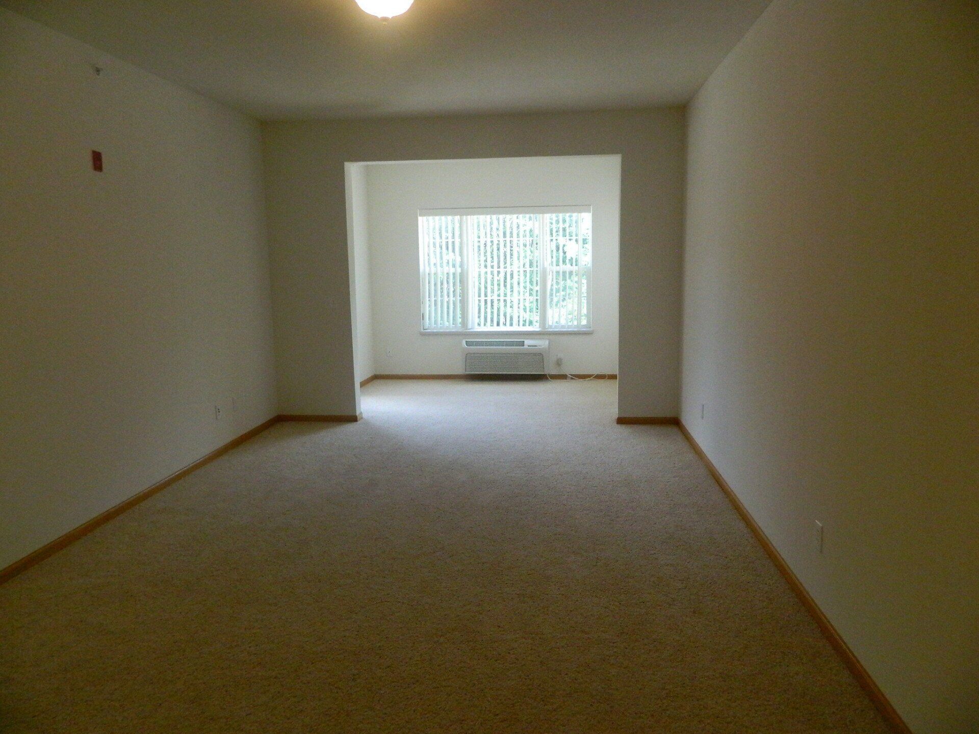 photo gallery