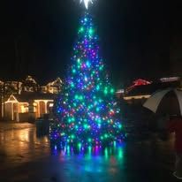 A christmas tree with a star on top of it is lit up at night.